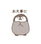 ゆるふわペンギンの毎日ことば（個別スタンプ：39）