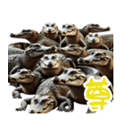 ワニ×3Dリアル！迫力満点（個別スタンプ：39）