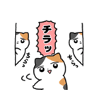挙動不審なミケネコ（個別スタンプ：27）