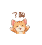 【トラ猫】毎日可愛がってほしい（個別スタンプ：2）