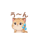【トラ猫】毎日可愛がってほしい（個別スタンプ：11）