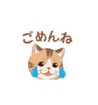 【トラ猫】毎日可愛がってほしい（個別スタンプ：12）