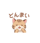 【トラ猫】毎日可愛がってほしい（個別スタンプ：14）