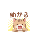 【トラ猫】毎日可愛がってほしい（個別スタンプ：15）