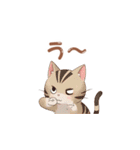 【トラ猫】毎日可愛がってほしい（個別スタンプ：19）