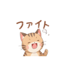 【トラ猫】毎日可愛がってほしい（個別スタンプ：20）