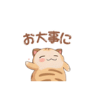 【トラ猫】毎日可愛がってほしい（個別スタンプ：24）