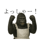 家事も愛も全力！ゴリラ母ちゃんの日常。（個別スタンプ：11）
