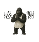 家事も愛も全力！ゴリラ母ちゃんの日常。（個別スタンプ：12）