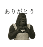 家事も愛も全力！ゴリラ母ちゃんの日常。（個別スタンプ：13）