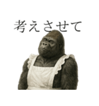 家事も愛も全力！ゴリラ母ちゃんの日常。（個別スタンプ：24）