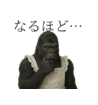 家事も愛も全力！ゴリラ母ちゃんの日常。（個別スタンプ：25）
