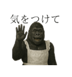 家事も愛も全力！ゴリラ母ちゃんの日常。（個別スタンプ：32）