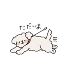 犬スタンプ・なぞいぬ（個別スタンプ：12）