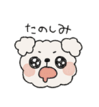 犬スタンプ・なぞいぬ（個別スタンプ：31）