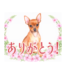 水彩を感じるミニピンスタンプ（個別スタンプ：17）