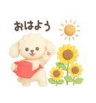 【3D】トイプードル・夏（個別スタンプ：1）