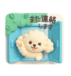 【3D】トイプードル・夏（個別スタンプ：24）
