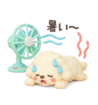 【3D】トイプードル・夏（個別スタンプ：25）