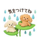 【3D】トイプードル・夏（個別スタンプ：28）