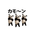 THEパンダ2（個別スタンプ：9）