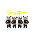 THEパンダ2（個別スタンプ：11）