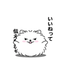 えっほ！男前ポメラニアン1（個別スタンプ：2）