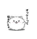 えっほ！男前ポメラニアン1（個別スタンプ：4）