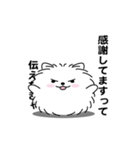 えっほ！男前ポメラニアン1（個別スタンプ：7）