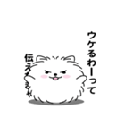 えっほ！男前ポメラニアン1（個別スタンプ：10）