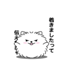 えっほ！男前ポメラニアン1（個別スタンプ：15）