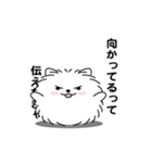えっほ！男前ポメラニアン1（個別スタンプ：16）