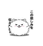 えっほ！男前ポメラニアン1（個別スタンプ：17）