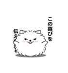 えっほ！男前ポメラニアン1（個別スタンプ：18）