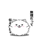 えっほ！男前ポメラニアン1（個別スタンプ：22）