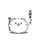 えっほ！男前ポメラニアン1（個別スタンプ：23）
