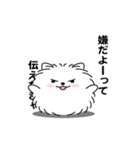 えっほ！男前ポメラニアン1（個別スタンプ：24）