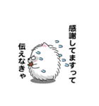 えっほ！男前ポメラニアン2（個別スタンプ：7）