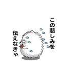 えっほ！男前ポメラニアン2（個別スタンプ：17）