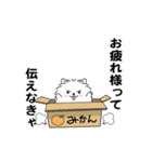 えっほ！男前ポメラニアン3（個別スタンプ：1）