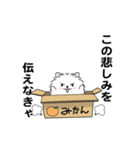 えっほ！男前ポメラニアン3（個別スタンプ：17）