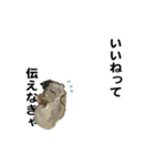えっほ！生牡蠣！（個別スタンプ：2）