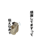 えっほ！生牡蠣！（個別スタンプ：7）
