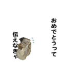 えっほ！生牡蠣！（個別スタンプ：13）