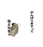 えっほ！生牡蠣！（個別スタンプ：19）