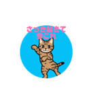 いつも踊ろうよ（個別スタンプ：1）