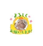 コーくんと一緒（個別スタンプ：12）
