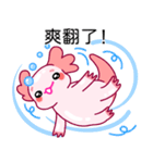 ルパピン（台湾語バージョン）（個別スタンプ：5）