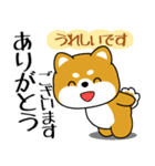 飛び出す！丁寧でやさしい豆柴（個別スタンプ：2）