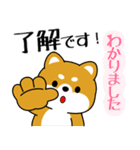 飛び出す！丁寧でやさしい豆柴（個別スタンプ：3）